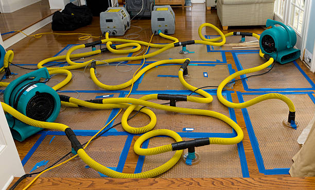 Professional Crawl Space Water Removal technician working in Olga, WA